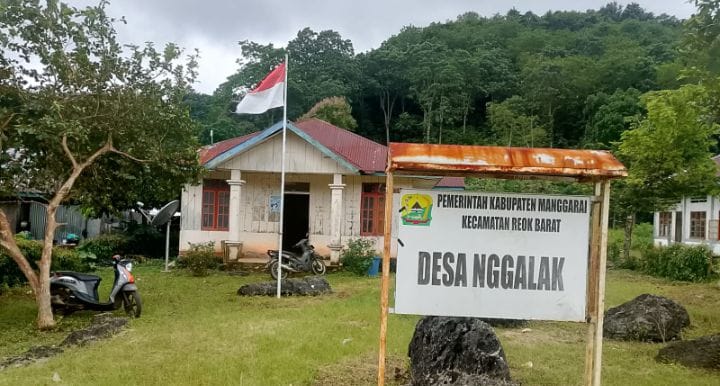 Potensi Desa Nggalak: Dari Gapoktan Produktif hingga Penghasil Porang Terbesar di Manggarai