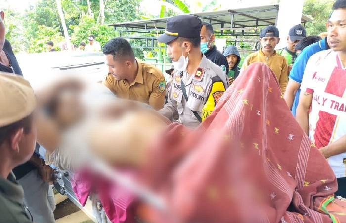Laka Lantas di Ndoso-Manggarai Barat, Dua Korban Meninggal Dunia