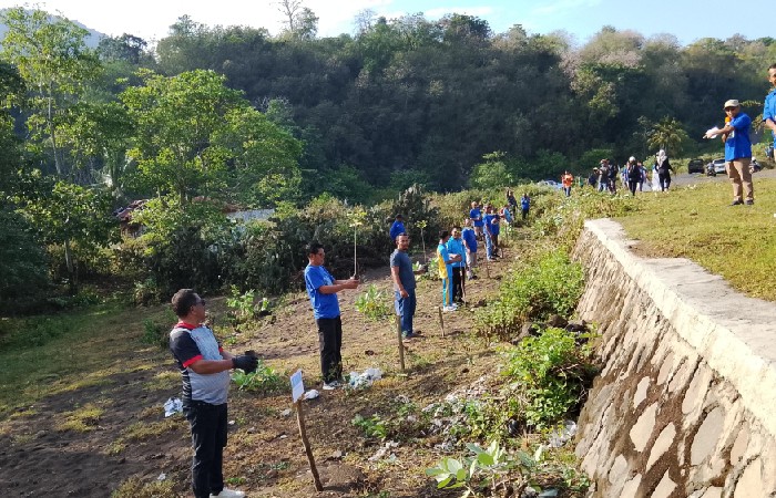 Demokrat Manggarai Timur Tanam 250 Pohon dan Bersihkan Pantai Borong